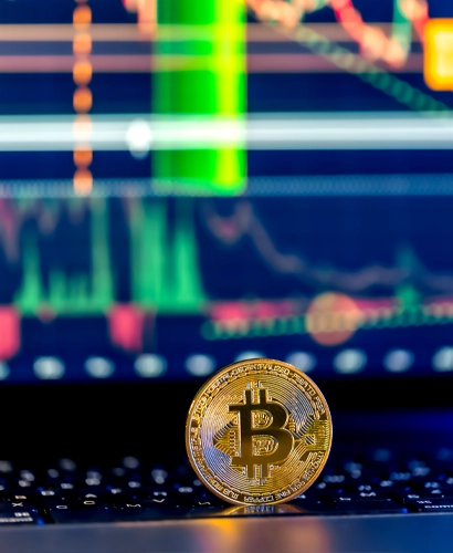 CrownixFin Trading Informationen